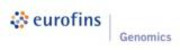 Eurofins Genomics Europe Synthesis GmbH